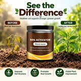 🌱 SoilBloom™ Soil Activator for Plants | 🎁 Buy 1 Get 1 Free